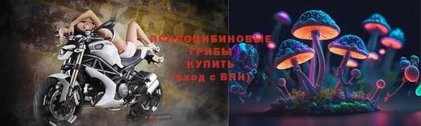 ГАЛЛЮЦИНОГЕННЫЕ ГРИБЫ Алексин