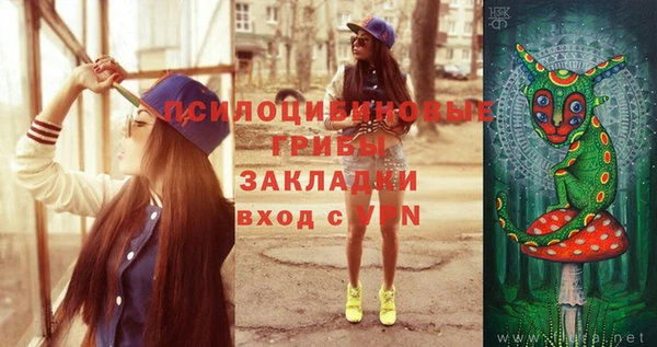 крисы Алексеевка