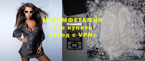 прущие грибы Инта