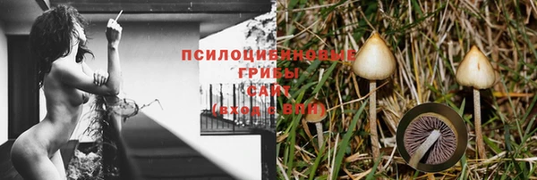 ГАЛЛЮЦИНОГЕННЫЕ ГРИБЫ Алексин