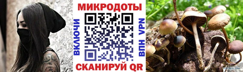 mega как войти  Алексин  Псилоцибиновые грибы MAGIC MUSHROOMS 